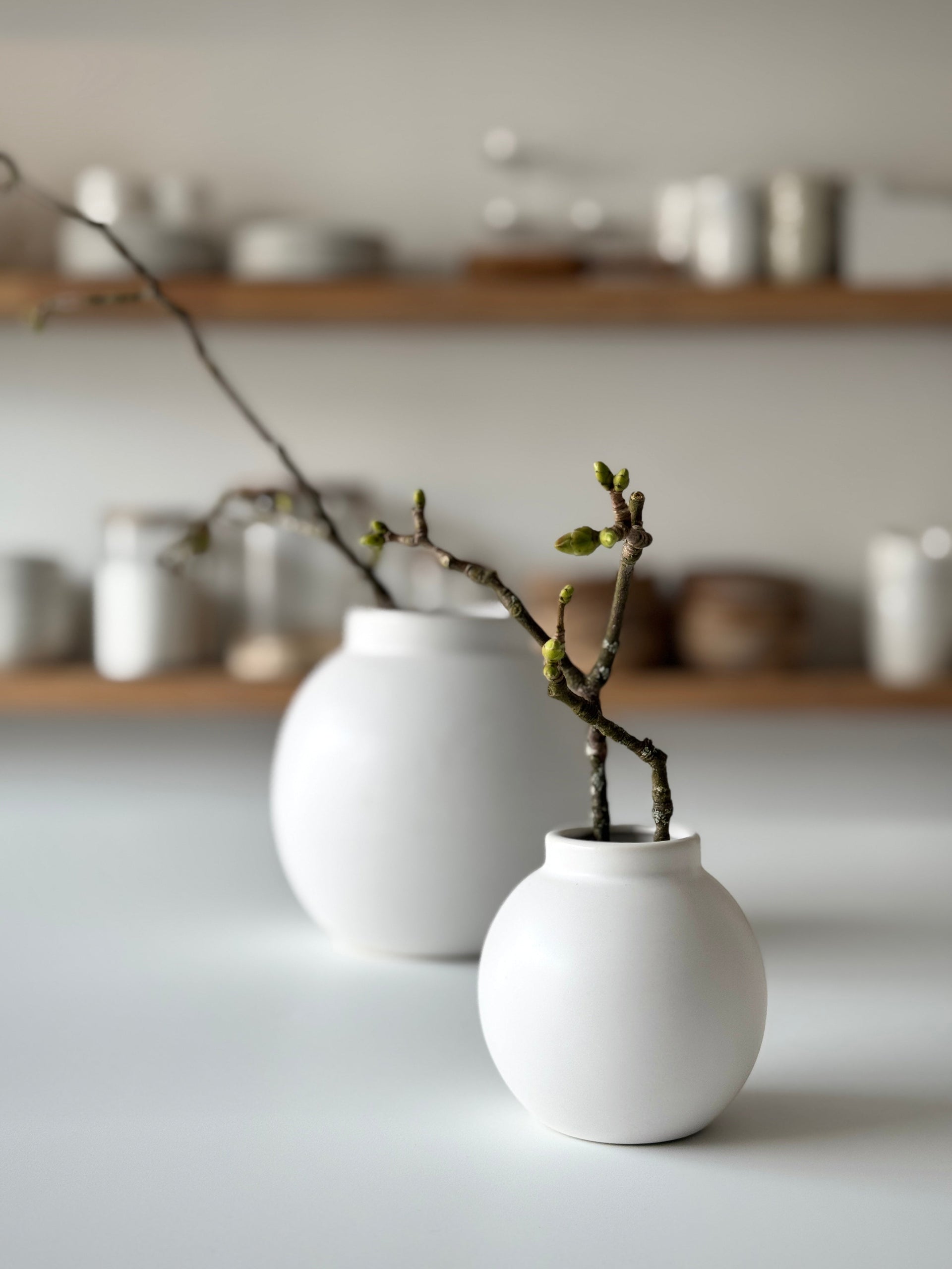 NORA KÚLUVASI HVÍTUR